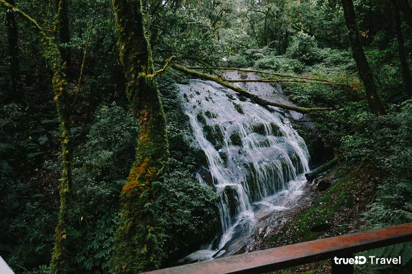 น้ำตก กิ่วแม่ปาน เส้นทางศึกษาธรรมชาติ เชียงใหม่ 