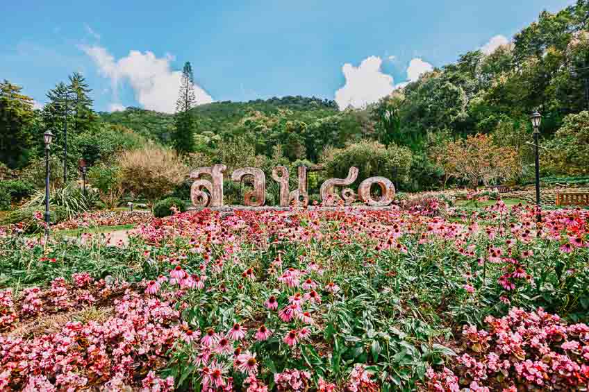  ที่เที่ยวเชียงใหม่ ดอยอ่างขาง สวนดอกไม้ สวน 80