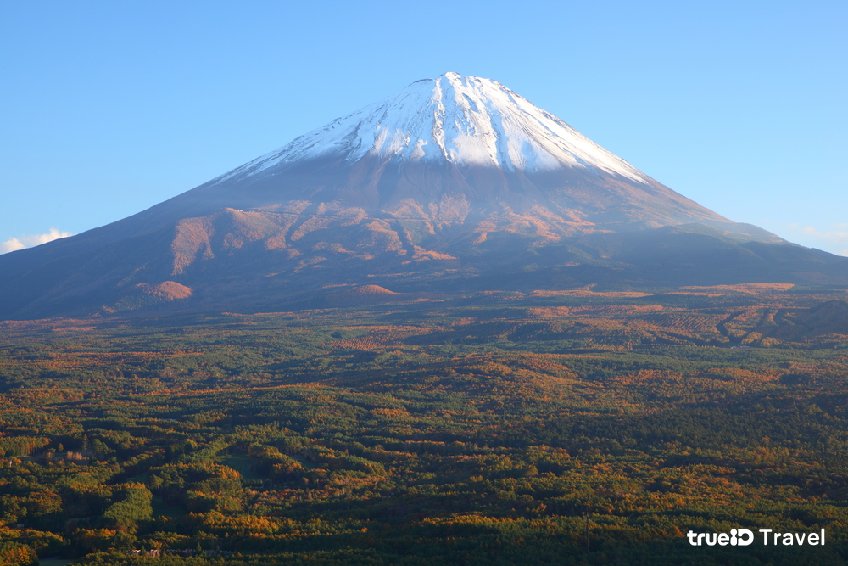 ป่าฆ่าตัวตาย อาโอกิกาฮาระ ภูเขาไฟฟูจิ ญี่ปุ่น