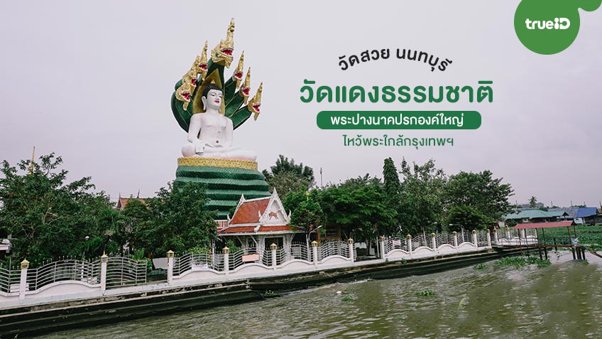 วัดแดงธรรมชาติ วัดสวย นนทบุรี พระปางนาคปรกองค์ใหญ่ ไหว้พระใกล้กรุงเทพ