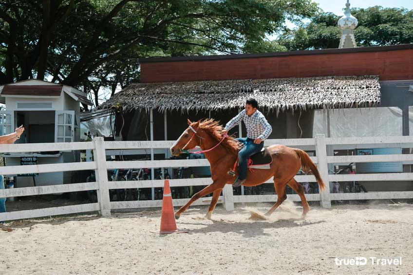 ที่เที่ยวเขาใหญ่ สวนสัตว์ Animal Club Movenpick Resort