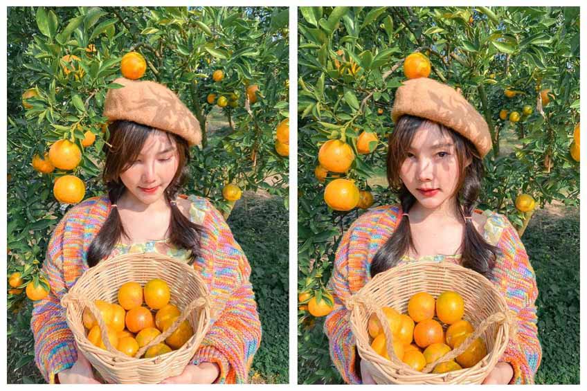 สวนส้มเชียงใหม่ สวนส้มจินจู ม่อนแจ่ม ที่เที่ยวถ่ายรูปสวยๆ ในไทย