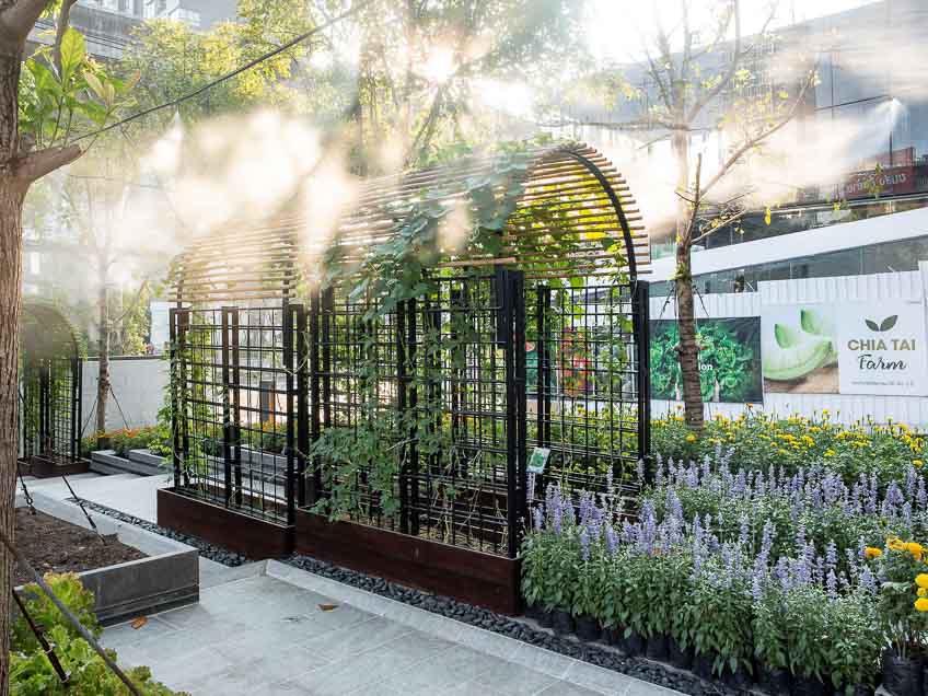 เจียไต๋ สุขุมวิท 60 สวนผัก กรุงเทพ Urban Garden Space 