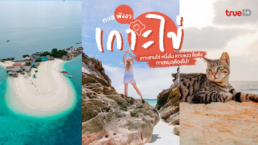 เกาะไข่ สามไข่ ที่เที่ยวทะเล พังงา รวมถึง เกาะไข่แมว ที่ทาสแมวต้องไป!