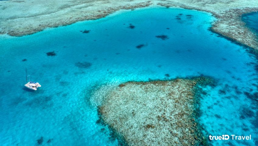 Vaavu Atoll Island จุดดำน้ำติดอันดับโลก