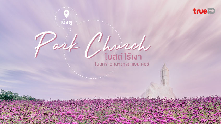 Park Church โบสถ์ไร้เงา แห่งเฉิงตู ประเทศจีน โบสถ์ขาวกลางทุ่งลาเวนเดอร์