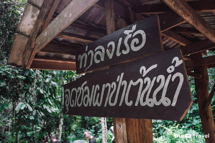 ป่าต้นน้ำ บ้านน้ำราด สุราษฎร์ธานี