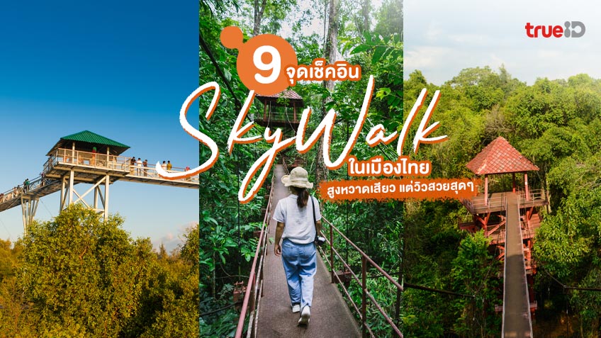 9 จุดเช็คอิน สกายวอล์ค เมืองไทย ทางเดินสูงหวาดเสียว แต่วิวสวยสุดๆ