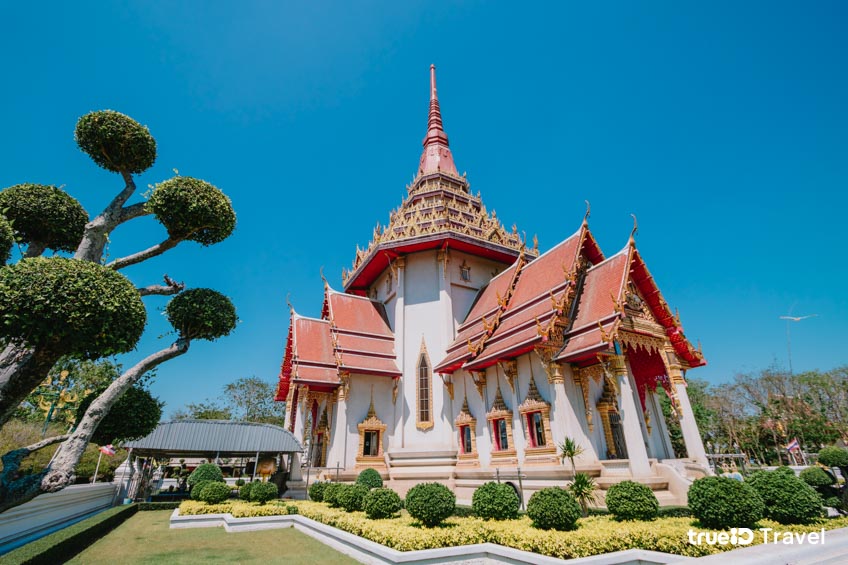 ขอพรเรื่องสุขภาพ หลวงพ่อสด วัดจันทรังษี อ่างทอง