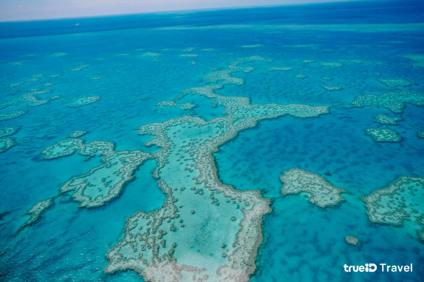 มรดกโลก เกรต แบร์ริเออร์ รีฟ ออสเตรเลีย