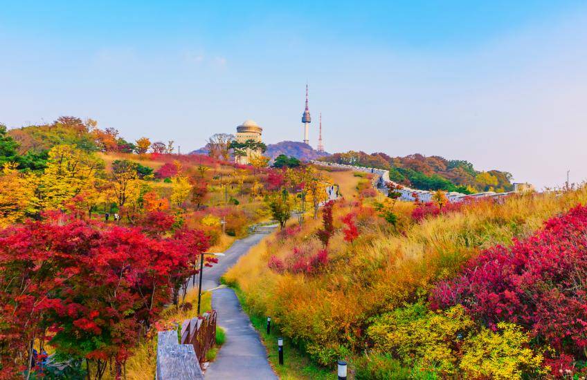 Namsam Park โซล ที่เที่ยวเกาหลีใต้