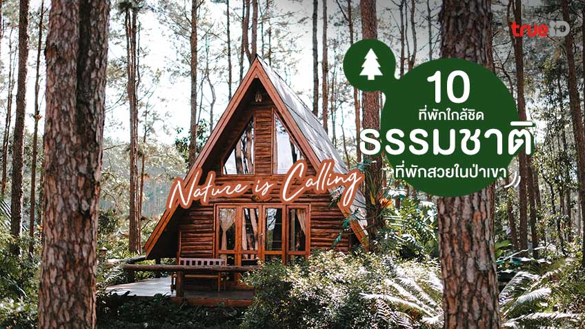 10 ที่พักใกล้ชิดธรรมชาติ ที่พักสวยในป่าเขา 🌲 โอบล้อมด้วยสีเขียว ให้ธรรมชาติ บำบัดใจ