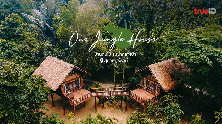 ที่พักสุราษฎร์ธานี เขาสก ใกล้ชิดธรรมชาติ Our Jungle House บ้านต้นไม้  ริมน้ำกลางป่า ธรรมชาติที่แท้ทรู