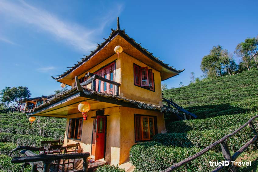 ที่พักบ้านรักไทย ลี ไวน์ รักไทย เที่ยวหน้าหนาว