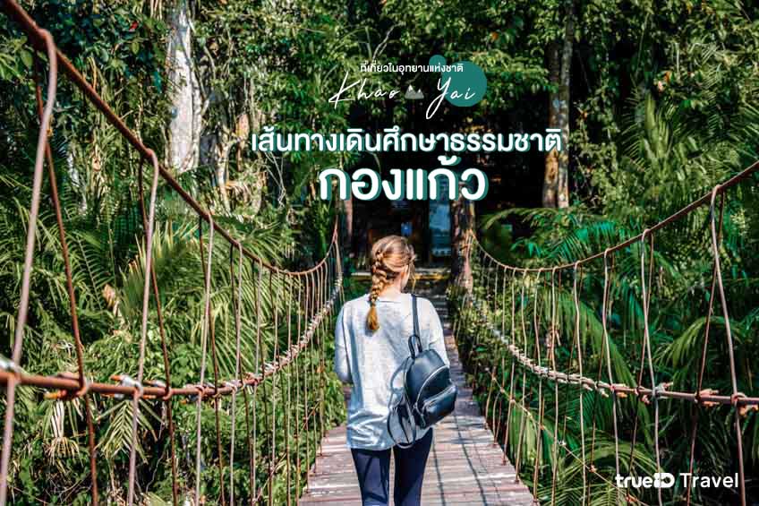 อุทยานแห่งชาติเขาใหญ่ เส้นทางเดินศึกษาธรรมชาติกองแก้ว 