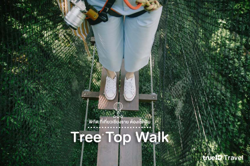 ที่เที่ยวเชียงราย DoiTung Tree Top Walk 