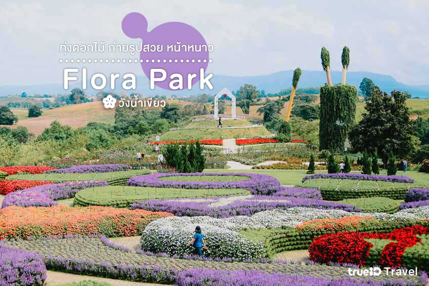ทุ่งดอกไม้ Flora Park วังน้ำเขียว นครราชสีมา