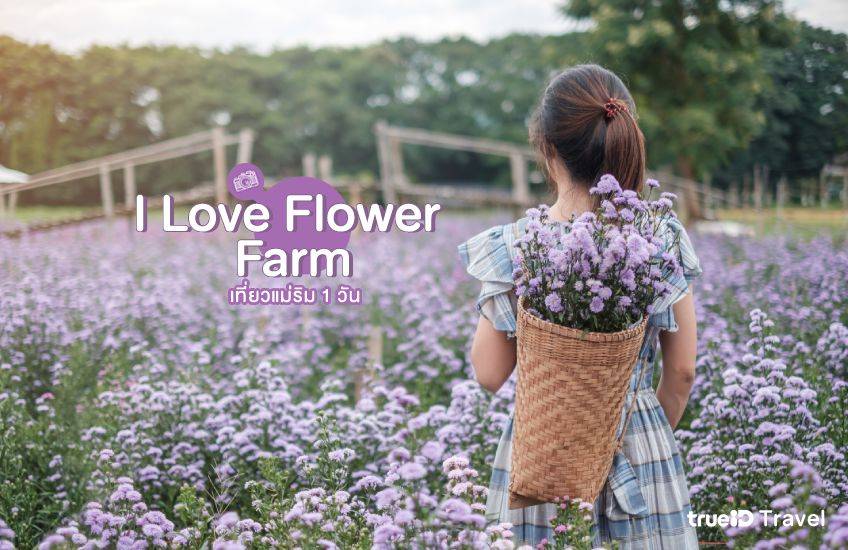 I Love Flower Farm ที่เที่ยวแม่ริม เชียงใหม่