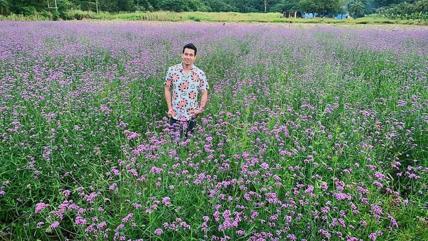 ทุ่งดอกไม้ เขาใหญ่ Hokkaido Flower Park Khaoyai