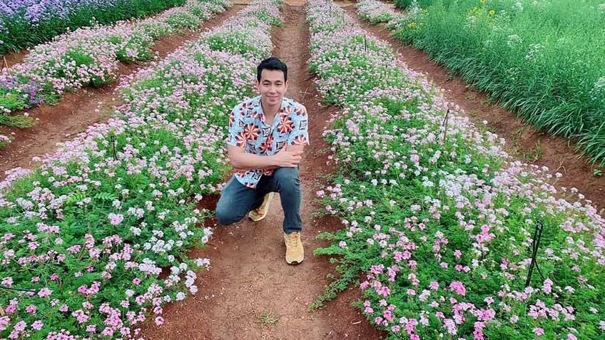 ทุ่งดอกไม้ เขาใหญ่ Hokkaido Flower Park Khaoyai