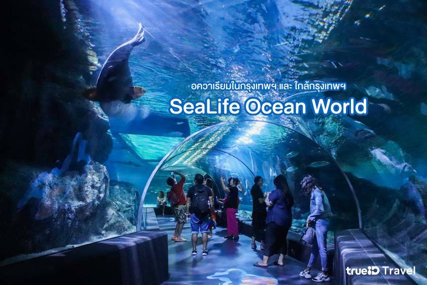 SeaLife Ocean World อควาเรียม เที่ยวกรุงเทพ ใกล้กรุงเทพ