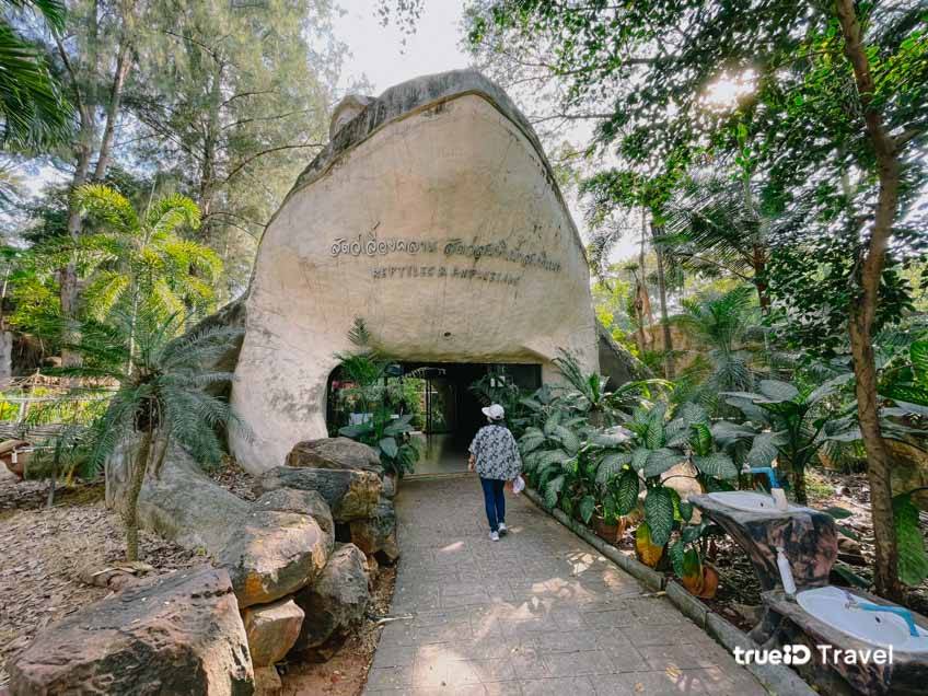 ที่เที่ยวนครราชสีมาในเมือง สวนสัตว์นครราชสีมา สัตว์เลื้อยคลาน