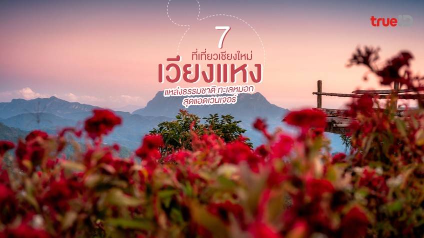 7 พิกัด เที่ยวเวียงแหง ที่เที่ยวเชียงใหม่ แหล่งธรรมชาติ ทะเลหมอก  สุดแอดเวนเจอร์