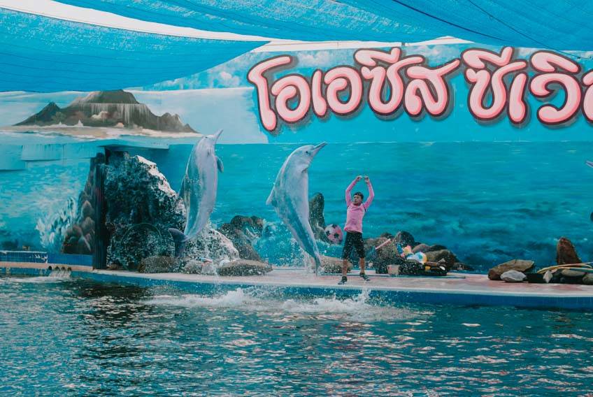 ที่เที่ยวจันทบุรี 2024 โอเอซีส ซีเวิลด์ Oasis Sea World