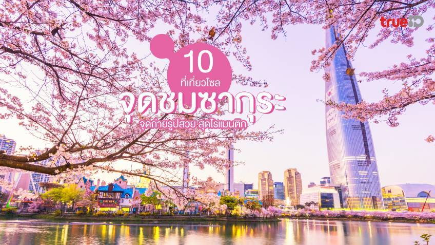 10 จุดชมซากุระ โซล ที่เที่ยวเกาหลี จุดถ่ายรูปสวย สุดโรแมนติก 🌸