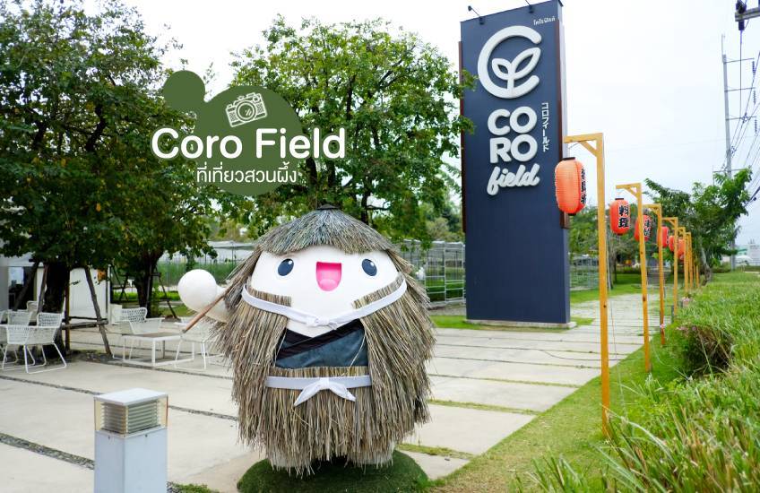 Coro Field ที่เที่ยวสวนผึ้ง ราชบุรี