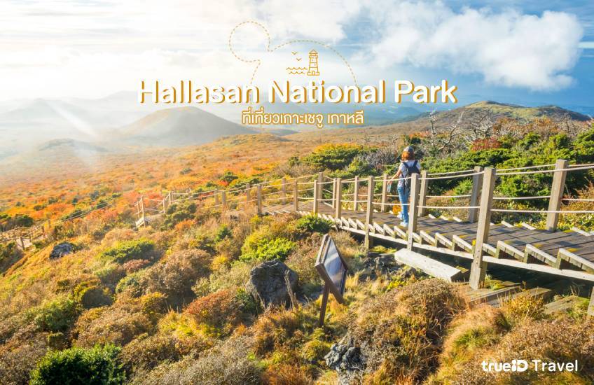 Hallasan National Park ที่เที่ยวเกาะเชจู เกาหลี