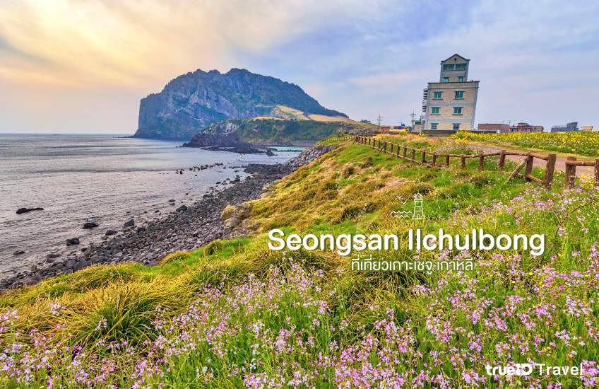 Seongsan Ilchulbong ที่เที่ยวเกาะเชจู เกาหลี