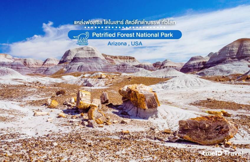 Petrified Forest National Park ที่เที่ยวอเมริกา