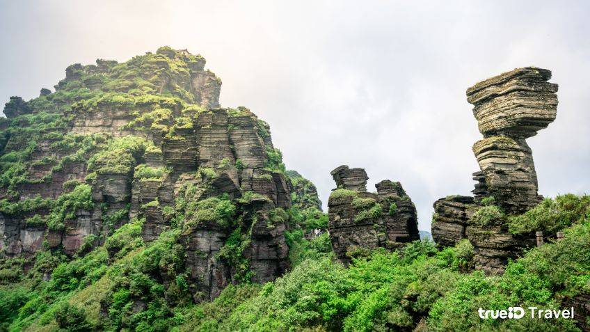 ฟ่านจิ้งซาน Fanjingshan ที่เที่ยวจีน