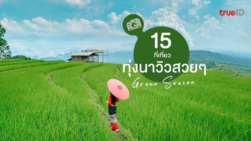 15 ที่เที่ยวทุ่งนา วิวสวยๆ นาขั้นบันได สะพานไม้วิวทุ่งนา เที่ยวหน้าฝน Green  Season สดชื่น จูงมือไปเที่ยวกัน !