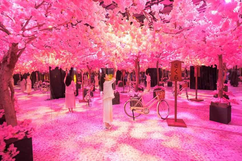 เที่ยวกรุงเทพ Japan Illumination เซ็นทรัลเวิลด์