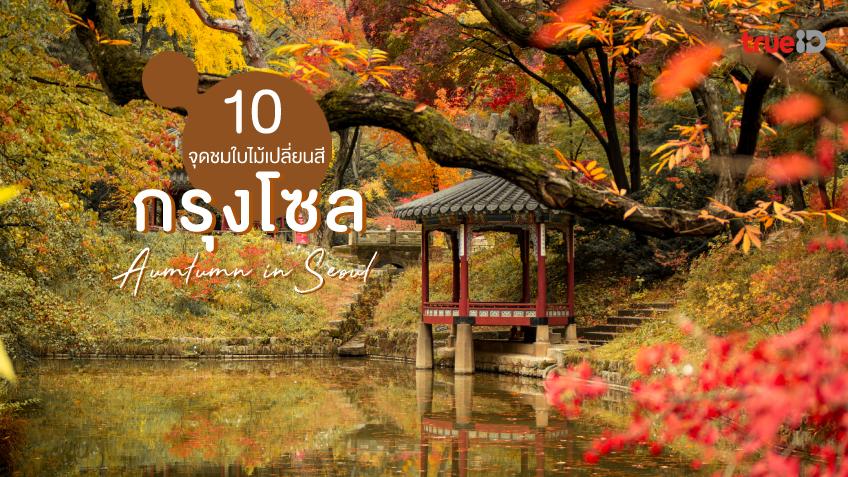 10 จุดชมใบไม้เปลี่ยนสี โซล ที่เที่ยวเกาหลี ถ่ายรูปสวย ฟินจนอยากไปซ้ำ