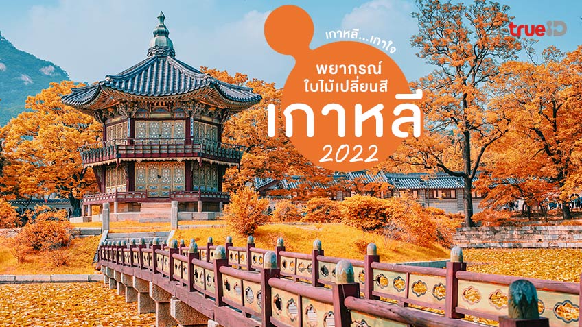 พยากรณ์ใบไม้เปลี่ยนสี เกาหลี 2022 หาที่เที่ยวเกาหลี เกาใจ กันไว้ได้เลย!