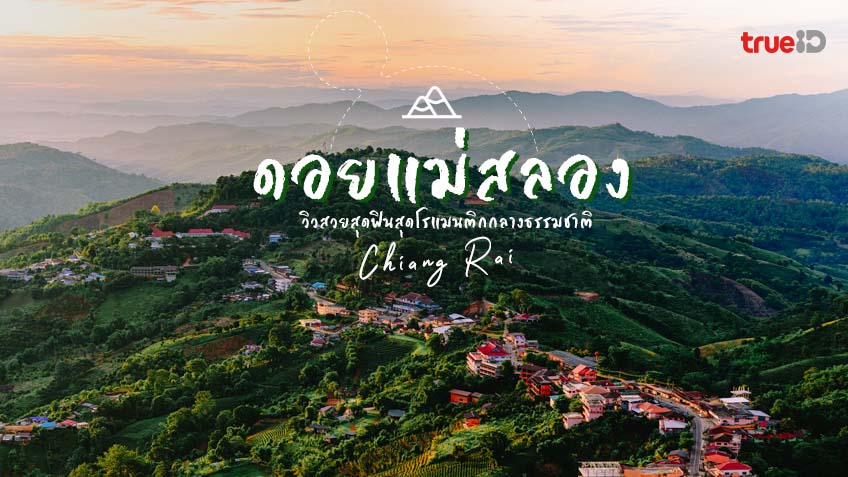 ดอยแม่สลอง เชียงราย