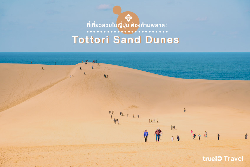 ที่เที่ยวญี่ปุ่นสวยๆ Tottori Sand Dunes ทตโตริ