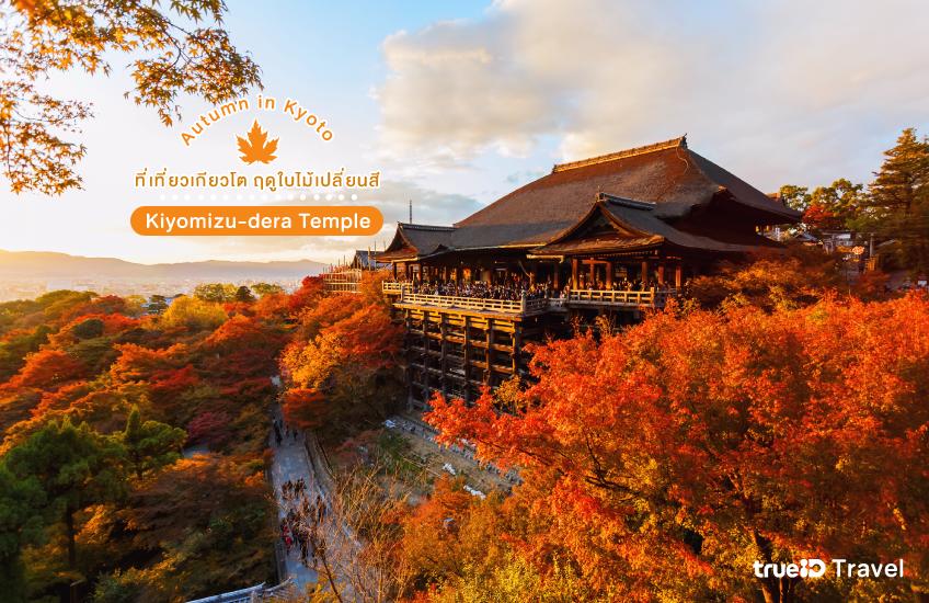 Kiyomizu-dera Temple ที่เที่ยวเกียวโต ญี่ปุ่น ใบไม้เปลี่ยนสี