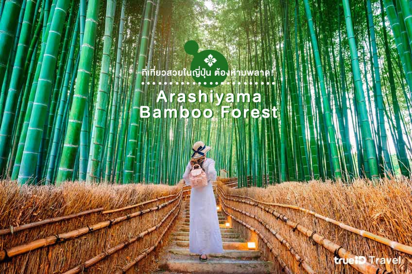 สถานที่ท่องเที่ยวญี่ปุ่น Arashiyama Bamboo Forest เกียวโต