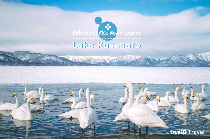 ที่เที่ยวญี่ปุ่น Lake Kussharo ฮอกไกโด