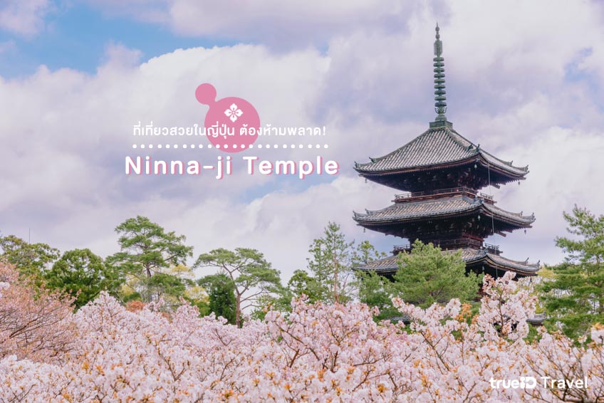 สถานที่ท่องเที่ยวญี่ปุ่น Ninna-ji Temple เกียวโต