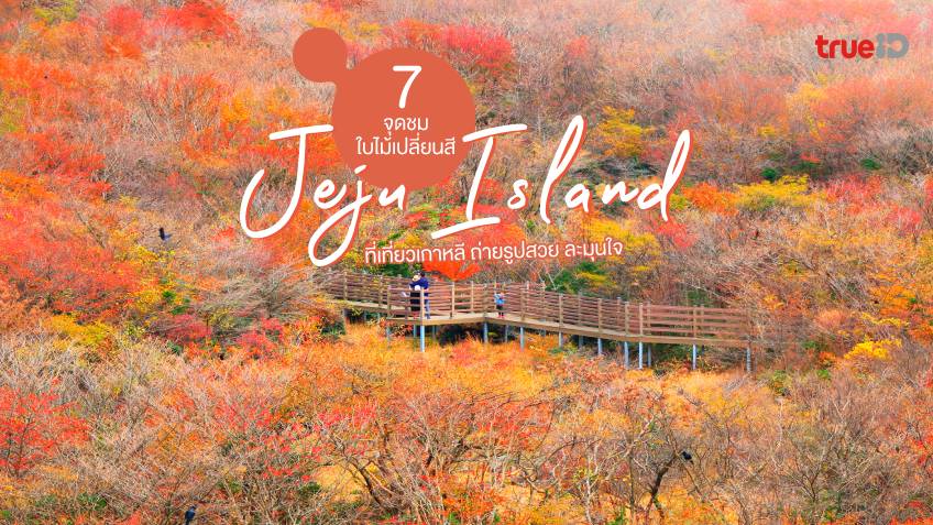เที่ยวเกาหลี 7 ที่เที่ยวเกาะเชจู ใบไม้เปลี่ยนสี ถ่ายรูปสวย ละมุนใจ