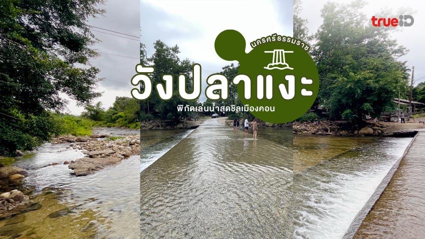 วังปลาแงะ ที่เที่ยวนครศรีธรรมราช เล่นน้ำเย็นๆ สุดชิล ของเมืองคอน