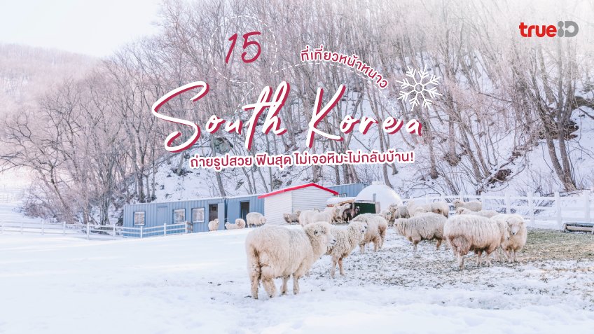 15 ที่เที่ยวเกาหลี หน้าหนาว ถ่ายรูปสวย ฟินสุด ไม่เจอหิมะไม่กลับบ้าน!