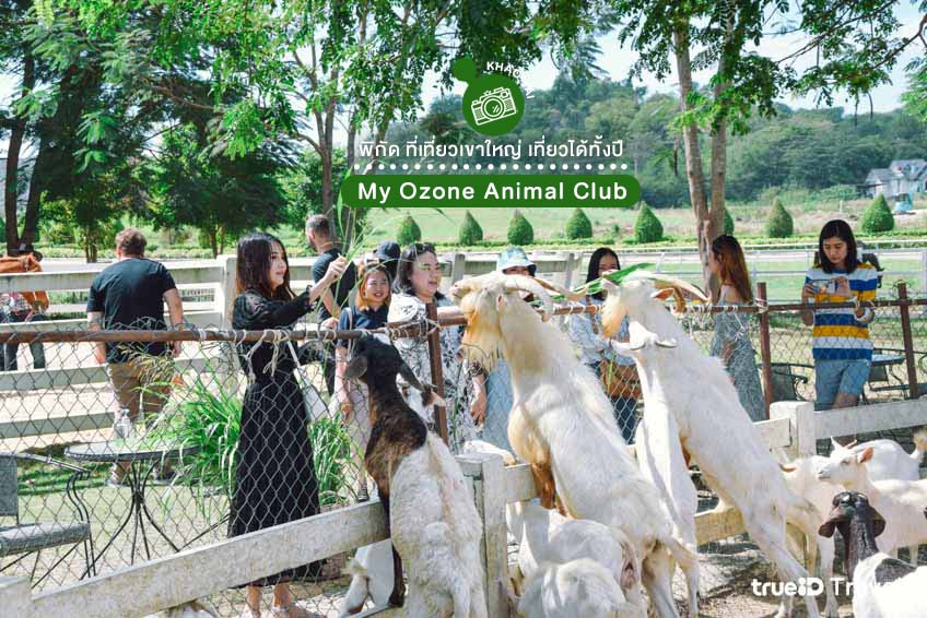 My Ozone ที่เที่ยวเขาใหญ่ สวนสัตว์ Animal Club Movenpick Resort