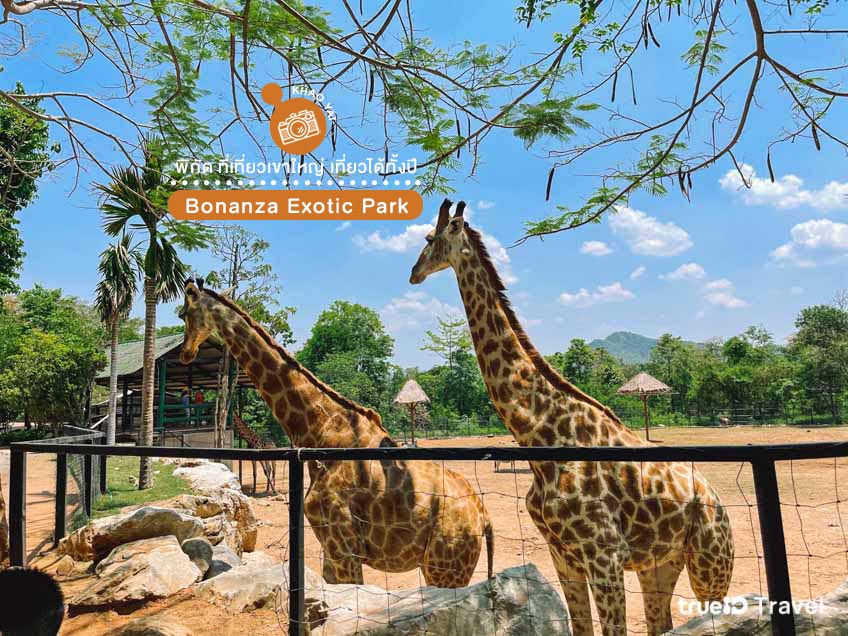 ที่เที่ยวเขาใหญ่ Bonanza Exotic Park สวนสัตว์เขาใหญ่