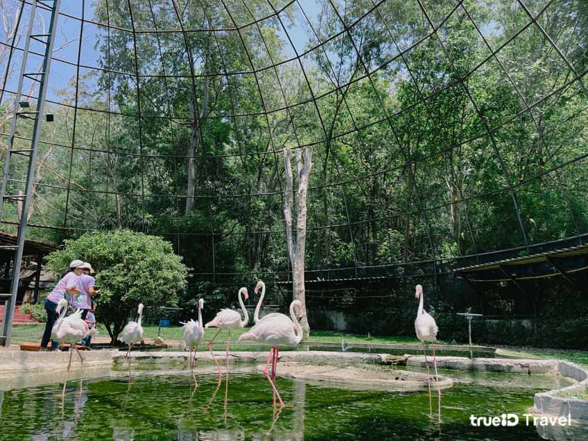 ที่เที่ยวเขาใหญ่ Bonanza Exotic Park สวนสัตว์เขาใหญ่